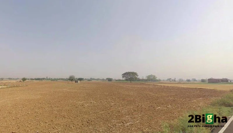 MDR104, Tiwari, Rajasthan 342306, India preview 2