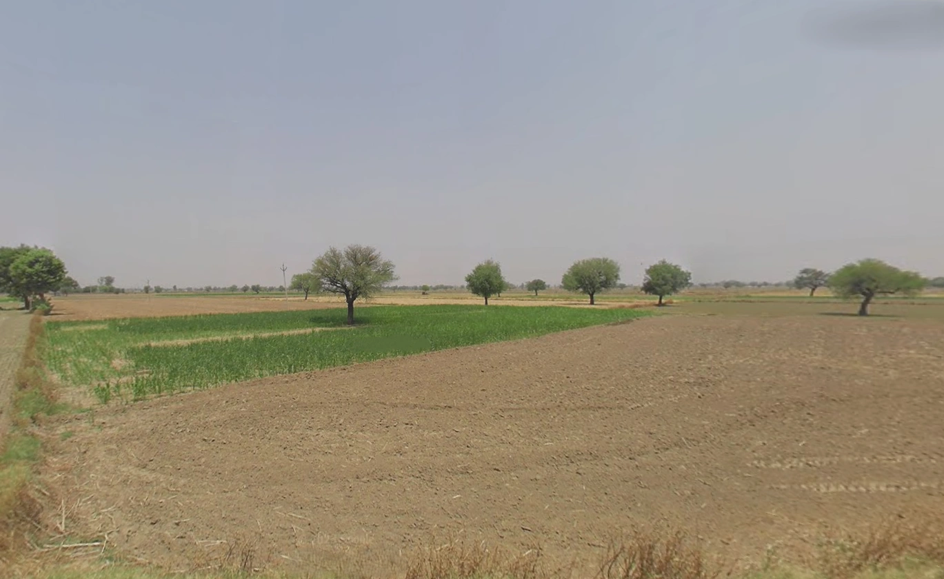 Jatusana, Haryana, India