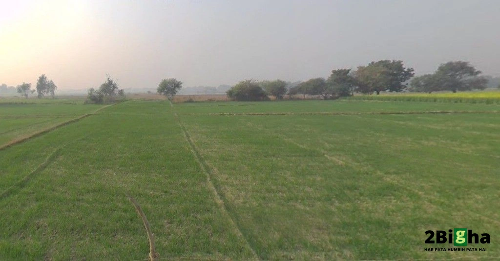 Sarojini Nagar, Lucknow, Uttar Pradesh, India