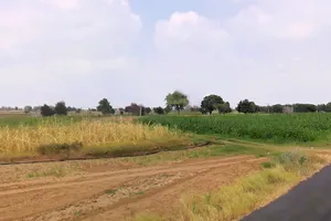 Dinod, Haryana 127111, India preview 2