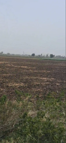 Wailwari, Rajasthan 313703, India