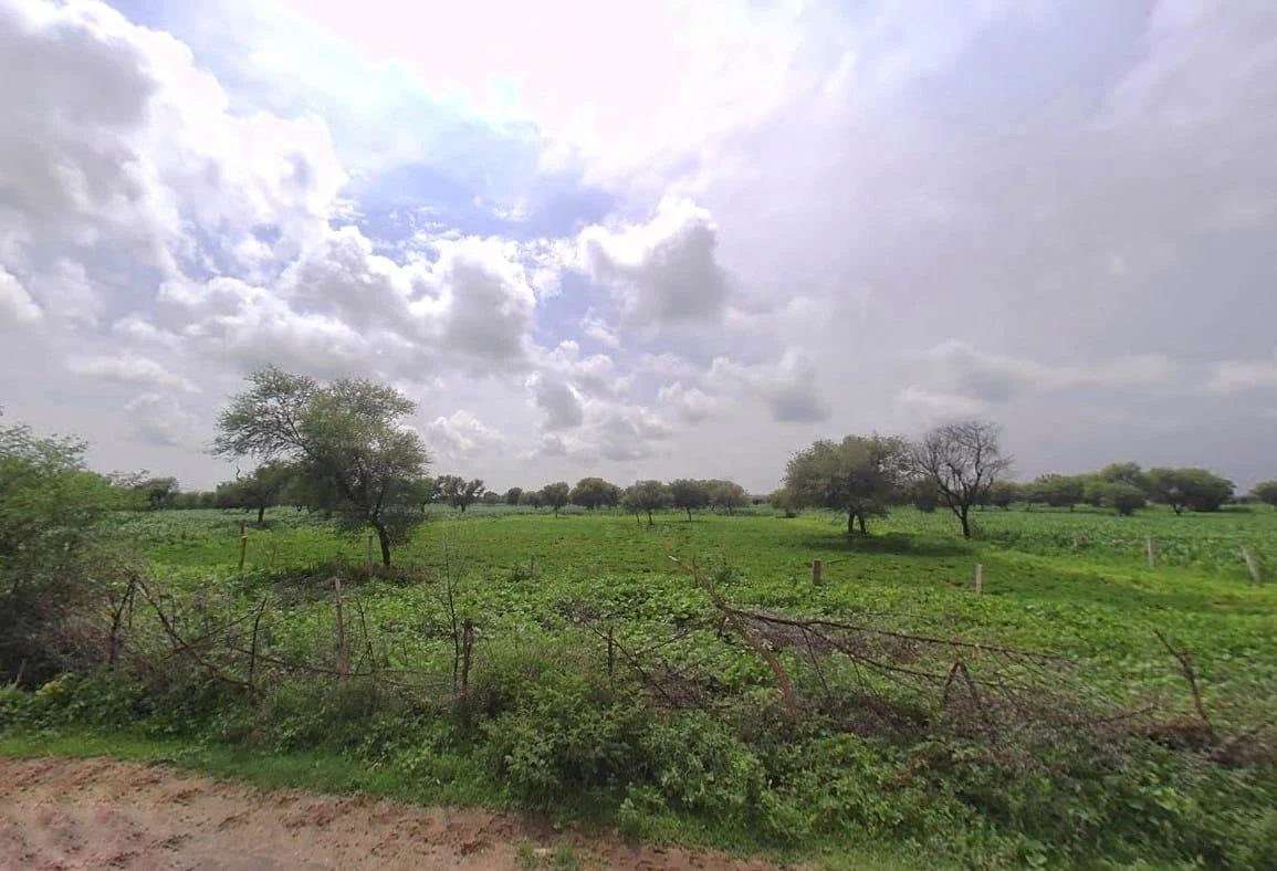 QJMJ+FR Kalwara, Rajasthan, India