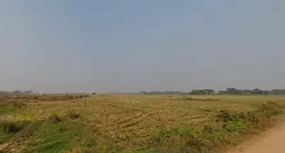 Uttara, Odisha, India preview 3