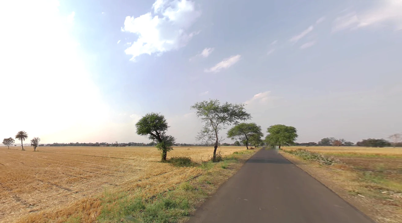 Delang, Odisha 752016, India