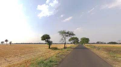 Delang, Odisha 752016, India preview 3