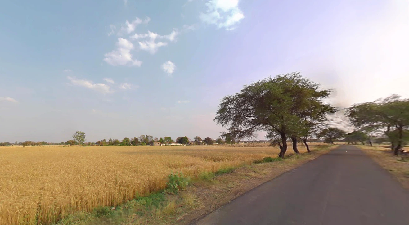 XRHF+MXM, Badshahi Rd, Satasankha, Badaharisankrpur, Odisha 752046, India