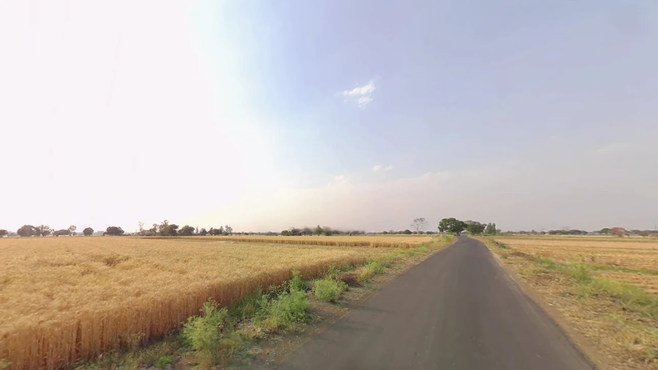 Brahmagiri, Odisha, India