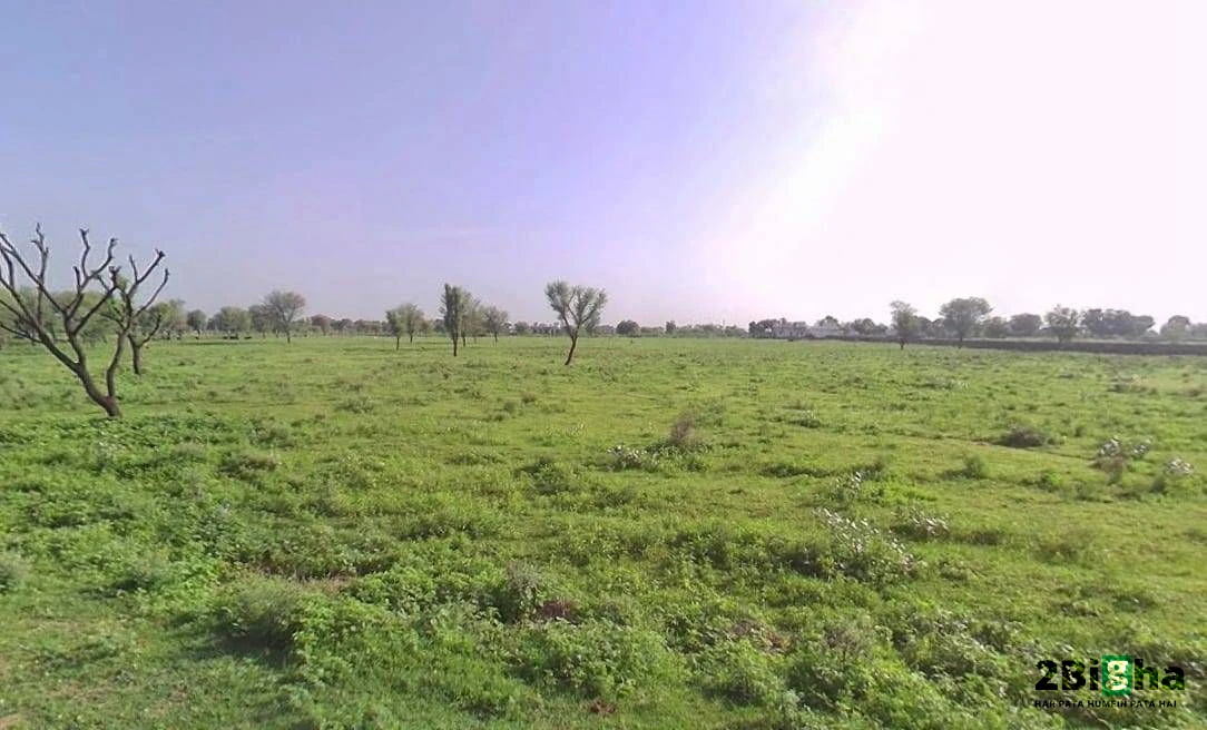 Goriwala, Haryana 125103, India