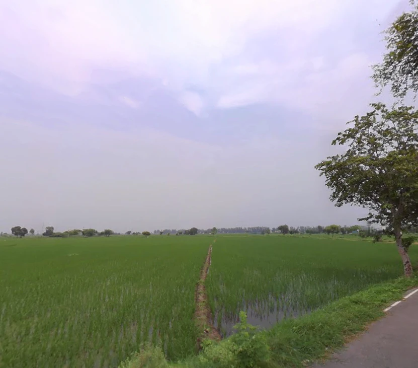 Madlauda, Haryana 132113, India