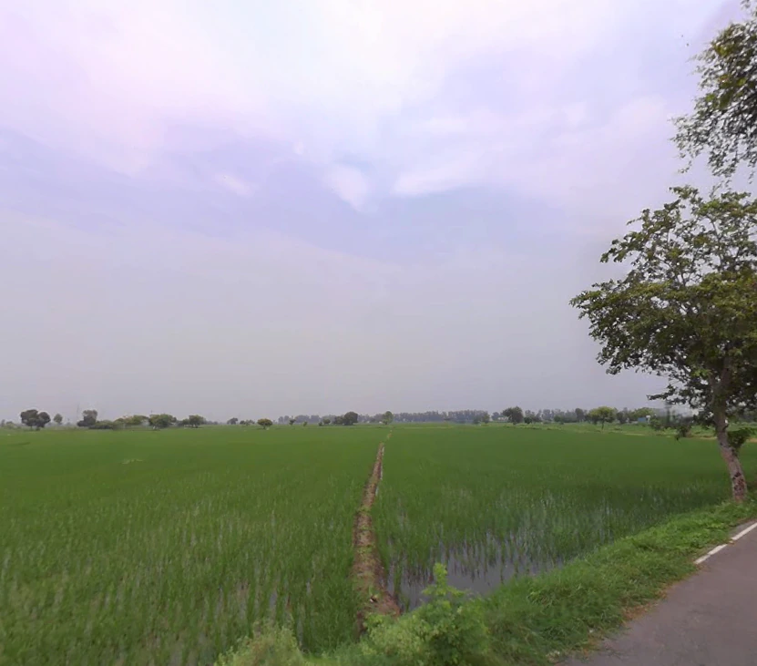 Madlauda, Haryana 132113, India