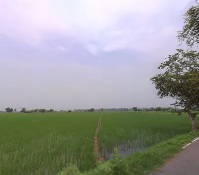 Madlauda, Haryana 132113, India preview 3