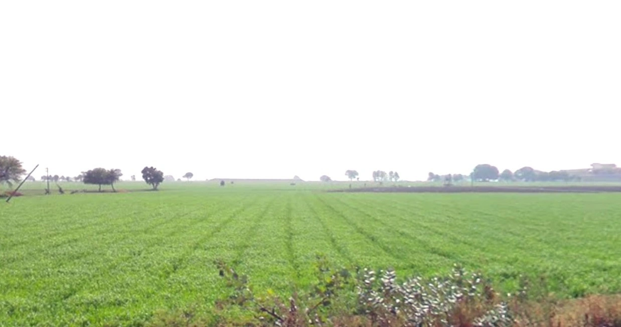 Maksi, Madhya Pradesh, India