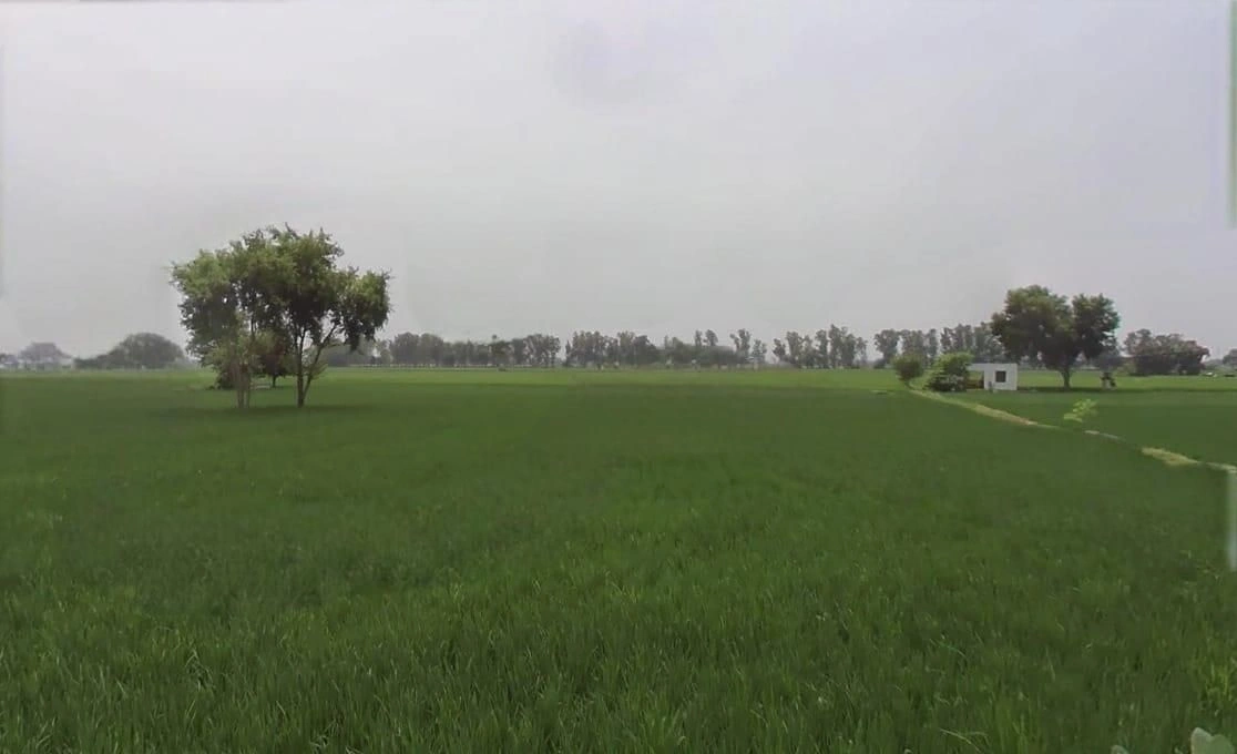 Kherkheda, Madhya Pradesh 455336, India