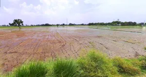 Bankura, West Bengal, India preview 2