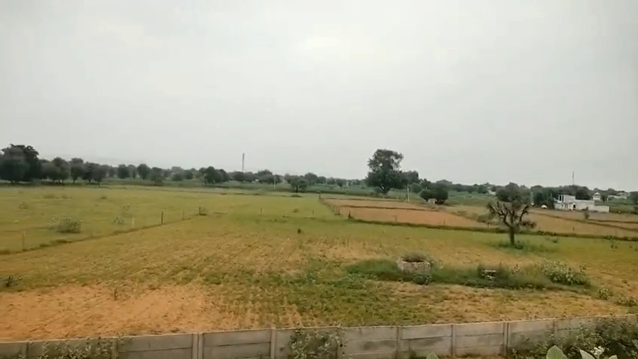 5HVH+PF Maloni, Bharatpur, Rajasthan, India
