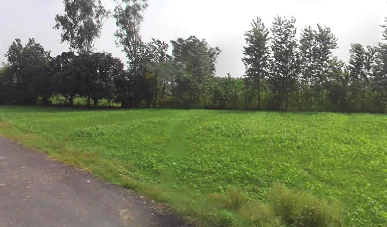 Mahlowali Rd, Badshahpur, Uttar Pradesh 247662, India