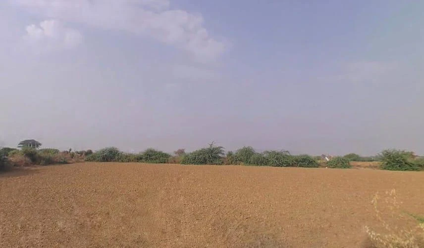 Badakhera, Rajasthan 323603, India