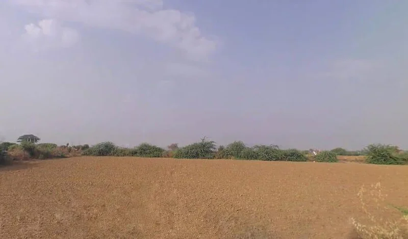 Badakhera, Rajasthan 323603, India preview 2