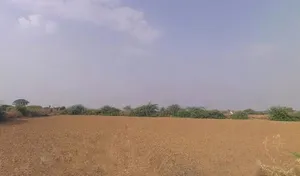 Badakhera, Rajasthan 323603, India preview 2