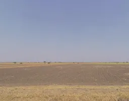 Bhangadh, Gujarat 382455, India preview 3