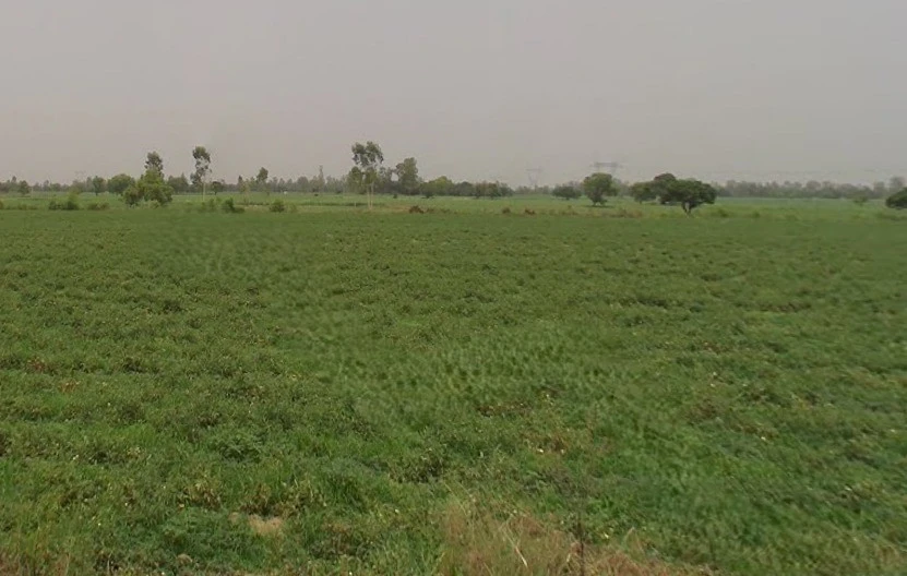 Machhra, Uttar Pradesh 250106, India