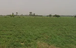 Machhra, Uttar Pradesh 250106, India preview 3