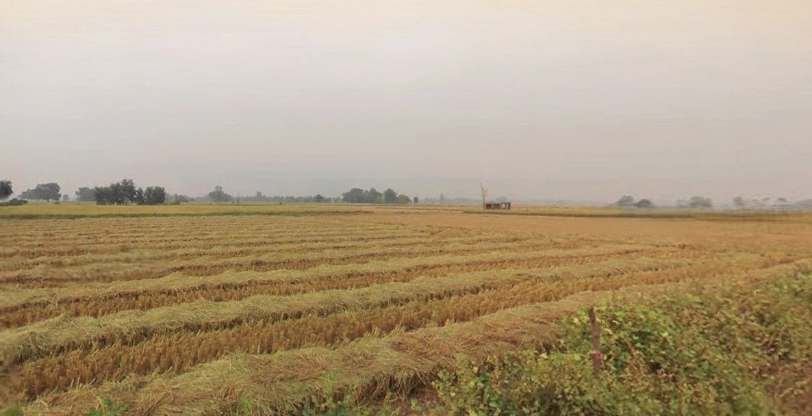 Mohanlalganj, Uttar Pradesh 226301, India