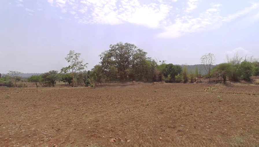 Gonda, Madhya Pradesh 484881, India