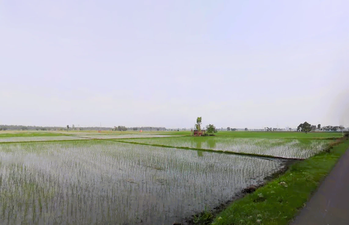 Madlauda, Haryana 132113, India