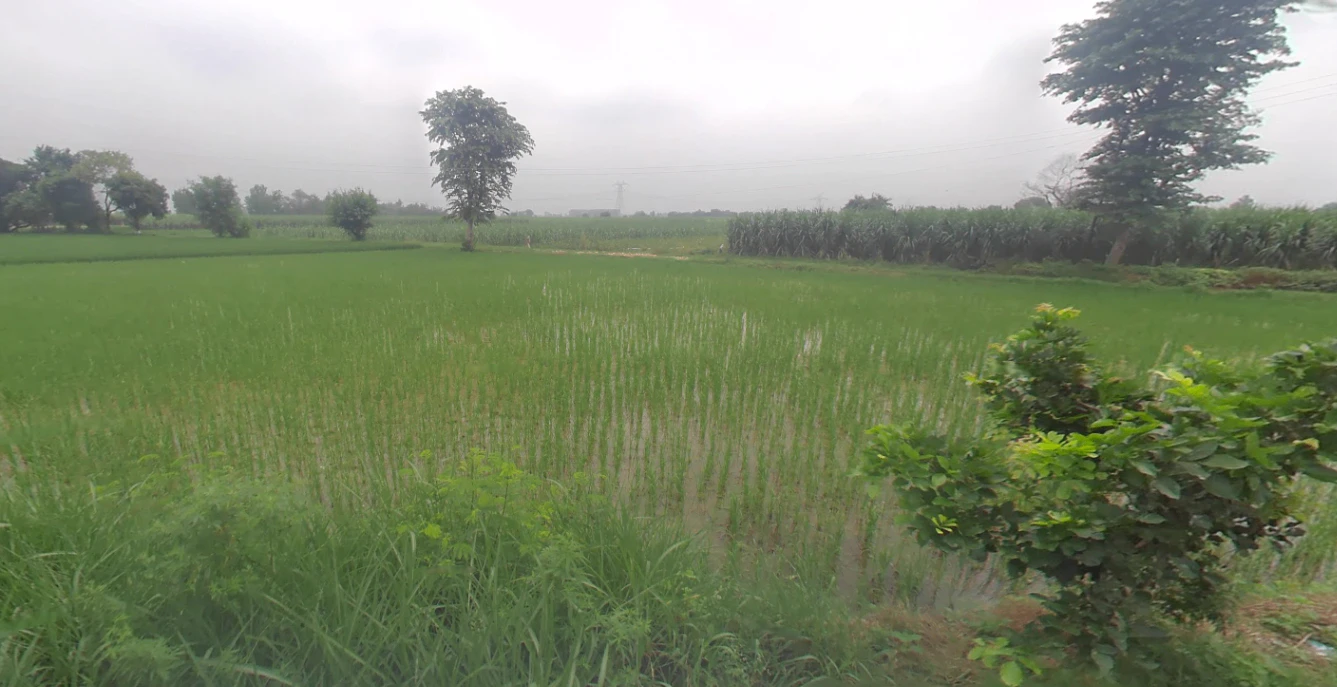 Bharra, Uttar Pradesh 203405, India