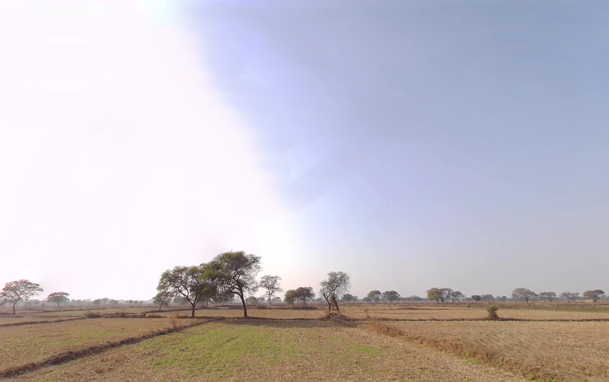 Moti Para, Chhattisgarh 491001, India