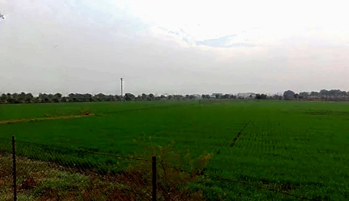 Gothada, Madhya Pradesh, India