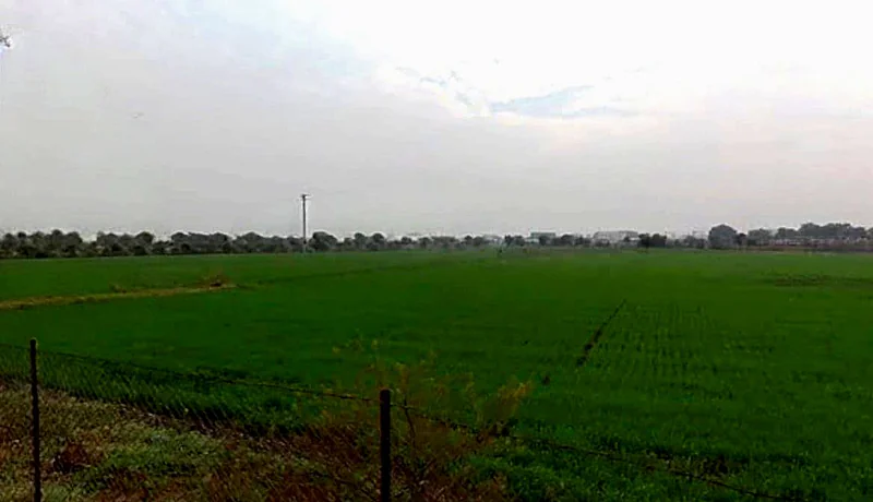 Gothada, Madhya Pradesh, India preview 3