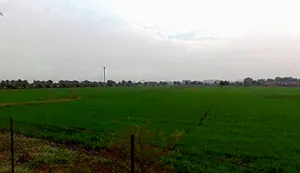 Gothada, Madhya Pradesh, India preview 3