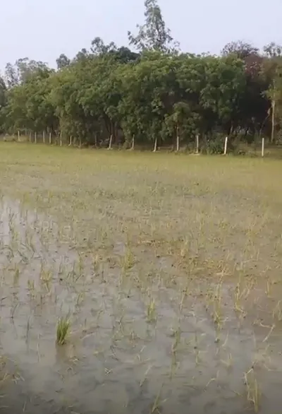 Chamrawal, Baghpat, Uttar Pradesh, India preview 2