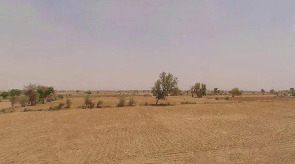 VQPX+VM6, Beechpuri, Rajasthan, India