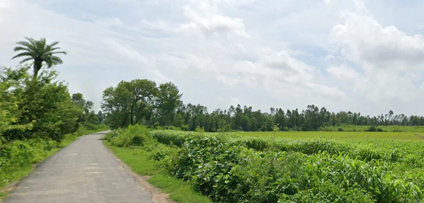 WR3R+7FV, MDR 65W, Sirswan Gaur, Uttar Pradesh 244402, India preview 3