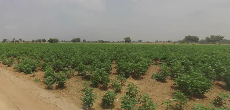 J745+M3R, Patsawra, West Bengal 713363, India preview 2