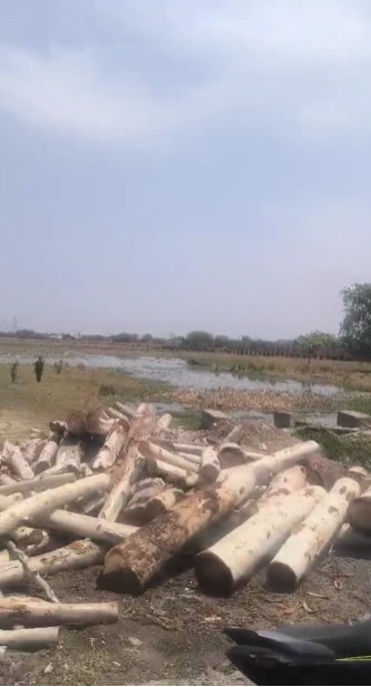 Rania, Uttar Pradesh 209305, India