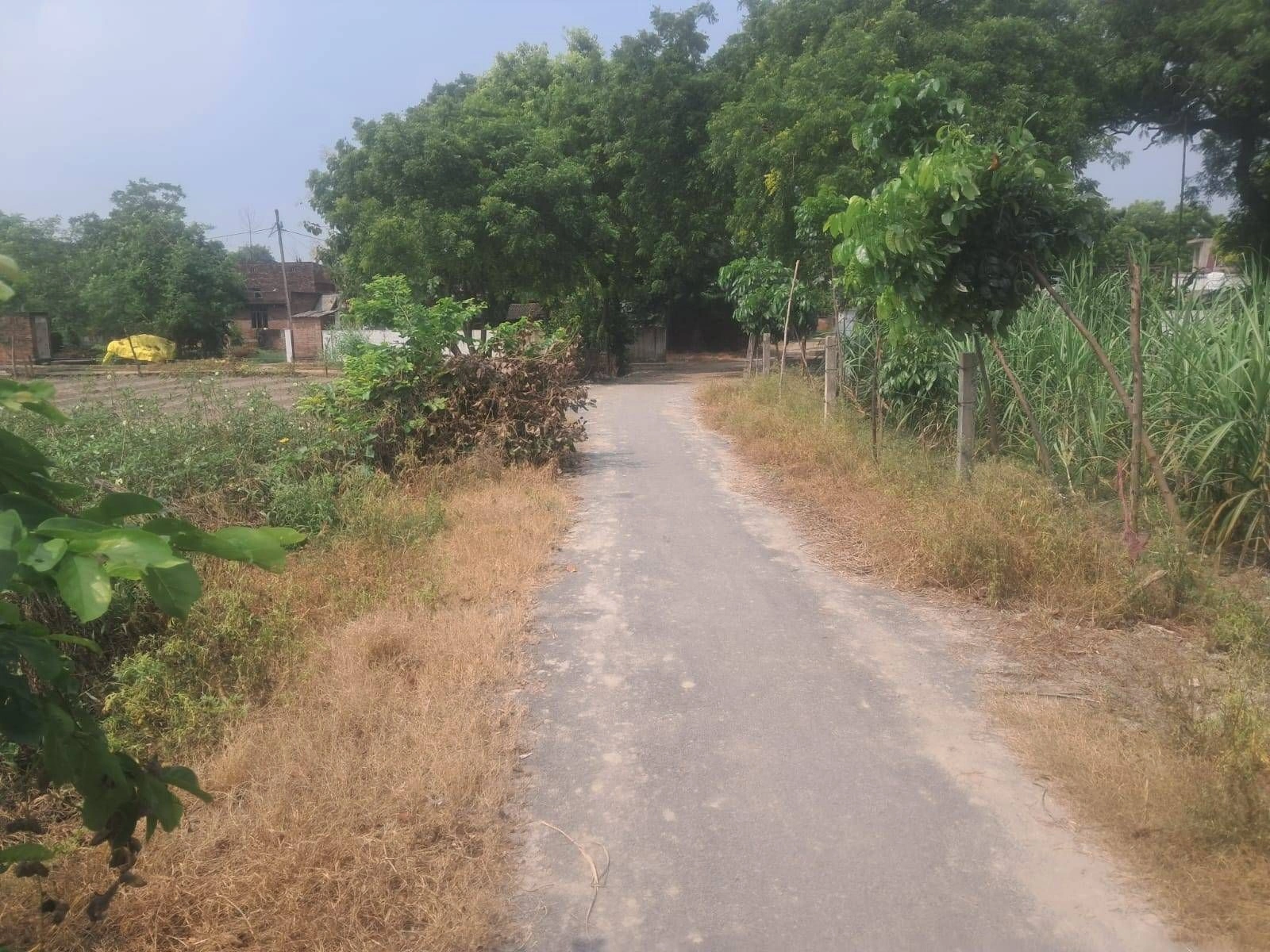 V69C+X9 Kajipur, Gonda, Uttar Pradesh, India