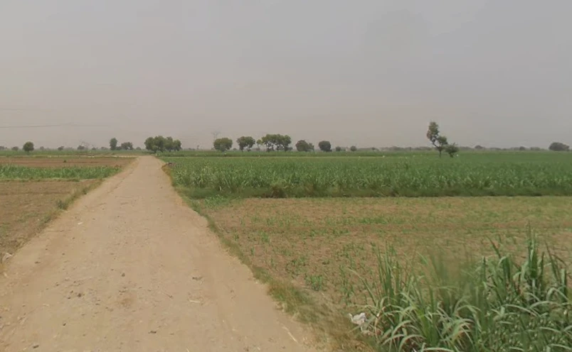 Peerbiyabani, Uttar Pradesh 203205, India