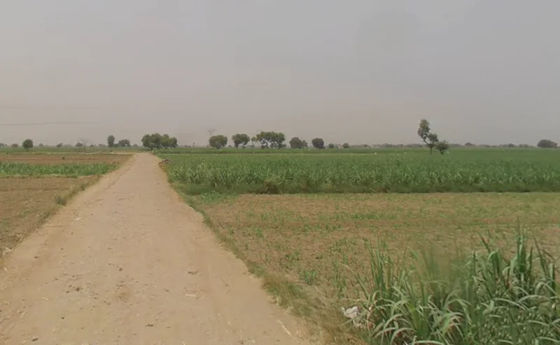 Peerbiyabani, Uttar Pradesh 203205, India preview 2