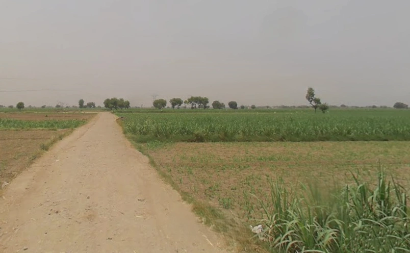 Peerbiyabani, Uttar Pradesh 203205, India