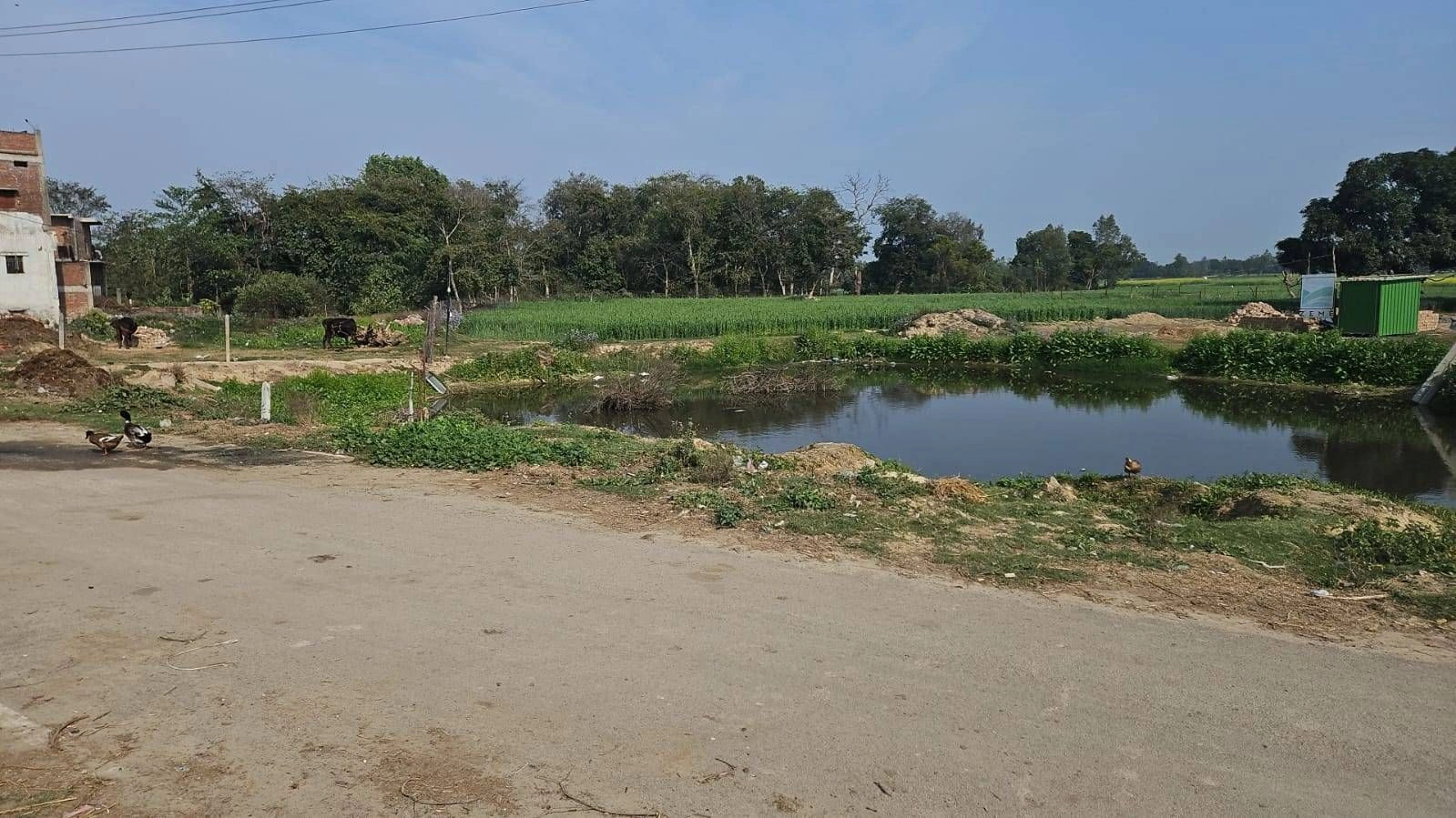 Mohanlalganj, Lucknow, Uttar Pradesh 226301, India