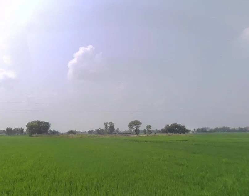 Shahpur, Uttar Pradesh 225301, India