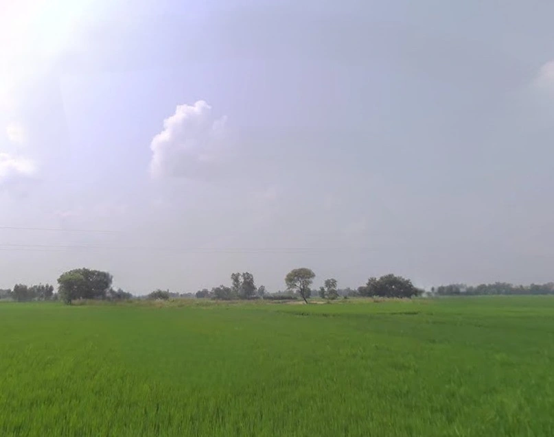 Shahpur, Uttar Pradesh 225301, India