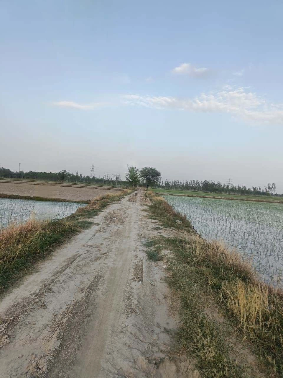 Sankhi, Uttar Pradesh 281401, India preview 6
