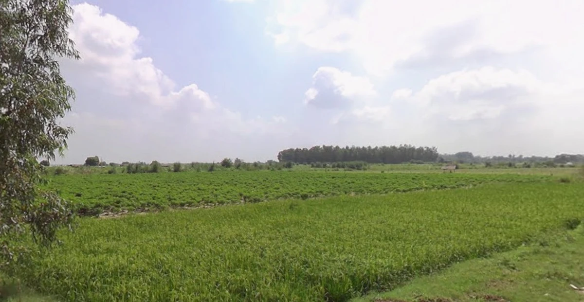 Lohana, Madhya Pradesh 456771, India