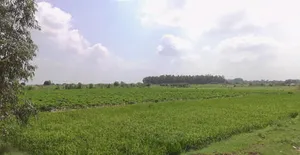 Lohana, Madhya Pradesh 456771, India preview 3