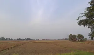 Paliganj, Bihar 801110, India preview 3
